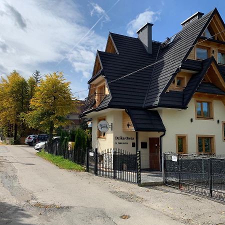 Dzika Owca Apartment Zakopane Bagian luar foto