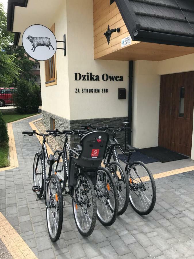 Dzika Owca Apartment Zakopane Bagian luar foto